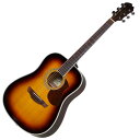 James J-300D BBT (ブラウンバースト) アコースティックギター ジェームス