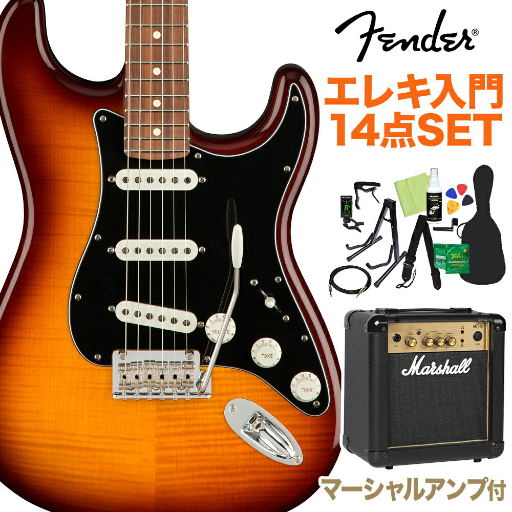 Fender Player Stratocaster Plus Top Pau Ferro Fingerboard Tobacco Sunburst 鿴14å ڥޡ륢դ ȥȥ㥹 ե WEBSHOP