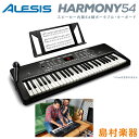 キーボード 電子ピアノ ALESIS Harmony54 54鍵盤 アレシス ポータブル オンライン無料レッスン付属 マイク 譜面台 電源[付属ACアダプター又...