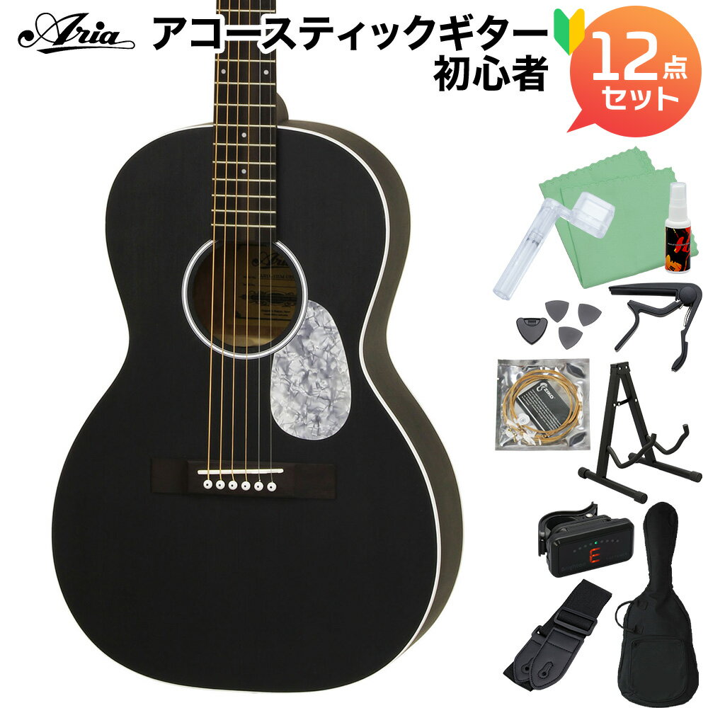 ARIA ARIA-131M UP STBK アコースティックギター初心者セット12点セット サテンブラック 艶消し パーラーサイズ アリア