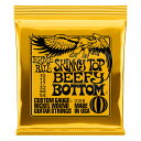 ERNiE BALL Skinny Top Beefy Bottom Slinky Nickel Wound Electric Guitar Strings 10 - 54 Gauge エレキギター弦 アーニーボール P02216