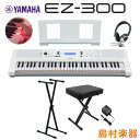 L[{[h dqsAm YAMAHA EZ-300 XX^hEXCXEwbhzZbg 錮 61 }n EZ300