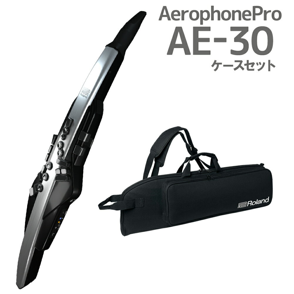 Roland AE-30 Aerophone Pro ウインドシンセサイザー 【ローランド】