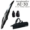 Roland AE-30 Aerophone Pro P[X p}EXs[XZbg EChVZTCU[ [h