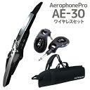 Roland AE-30 Aerophone Pro ケース ワイヤレスセット ウインドシンセサイザー ローランド