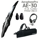 Roland AE-30 Aerophone Pro ケース ヘッドホン 交換用マウスピースセット ウインドシンセサイザー ローランド