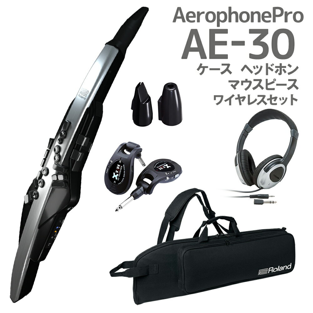 Roland AE-30 Aerophone Pro ケース ヘッドホン 交換用マウスピース ワイヤレスセット ウインドシンセサイザー 【ローランド】