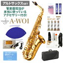 YANAGISAWA A-WO1 アルトサックスセット ヤナギサワ 【管楽器担当が本当に使っているアクセサリー付き！】【未展示新品】