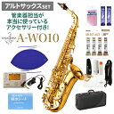 【在庫あり即納可能】 YANAGISAWA A-WO10 アルトサックスセット ヤナギサワ 【管楽器担当が本当に使っているアクセサリー付き！】【未展示新品】 【値上げ前最終在庫】