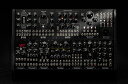 Erica Synths DADA NOISE SYSTEM II エ...(2)