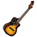 【数量限定SALE】 ORTEGA DSSUITE-UKE コンサートウクレレ オルテガ