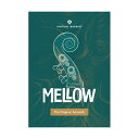 [ 2024/05/06] UJAM Virtual Bassist Mellow [W [[[i s]