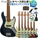 Bacchus WJB5-630-RSM/M-Act 5弦ベース 初心者12点セット 【充電式ミニアンプ付】 ジャズベースタイプ アクティブ バッカス 【初心者セット】