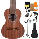 KALA KA-GL 初心者14点セット ウクレレギター カラ KAGL