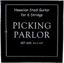 PICKING PARLOR SET600 スチールギター弦 6弦セット Am Am7