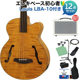 ARIA FEB-F2/FL Stained Brown ベース 初心者12点セット 【島村楽器で一番売れてるベースアンプ付】 フレットレス アリア