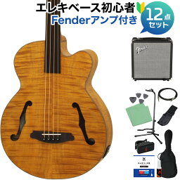 ARIA FEB-F2/FL Stained Brown ベース 初心者12点セット 【Fenderアンプ付】 フレットレス アリア