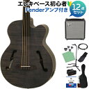 ARIA FEB-F2/FL Stain Black ベース 初心者12点セット 【Fenderアンプ付】 フレットレス 【アリア】 その1