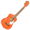 【数量限定SALE】 ORTEGA RUGA-ORG Orange テナーウクレレ GAUCHO SERIES オルテガ