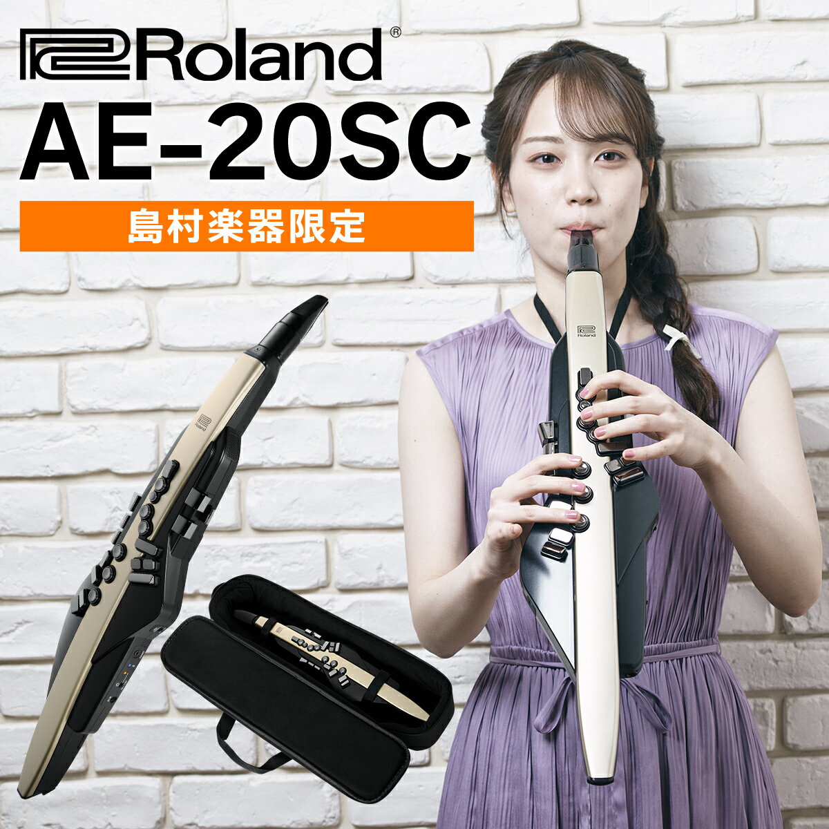 [教則動画付き] Roland AE-20SC 島村楽器限定モデル ゴールドカラー 追加音源付属 エアロフォン ウインドシンセサイ…