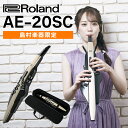 [教則動画付き] Roland AE-20SC 島村楽器限定モデル ゴールドカラー 追加音源付属 エアロフォン ウインドシンセサイザー ローランド AE20SC 1