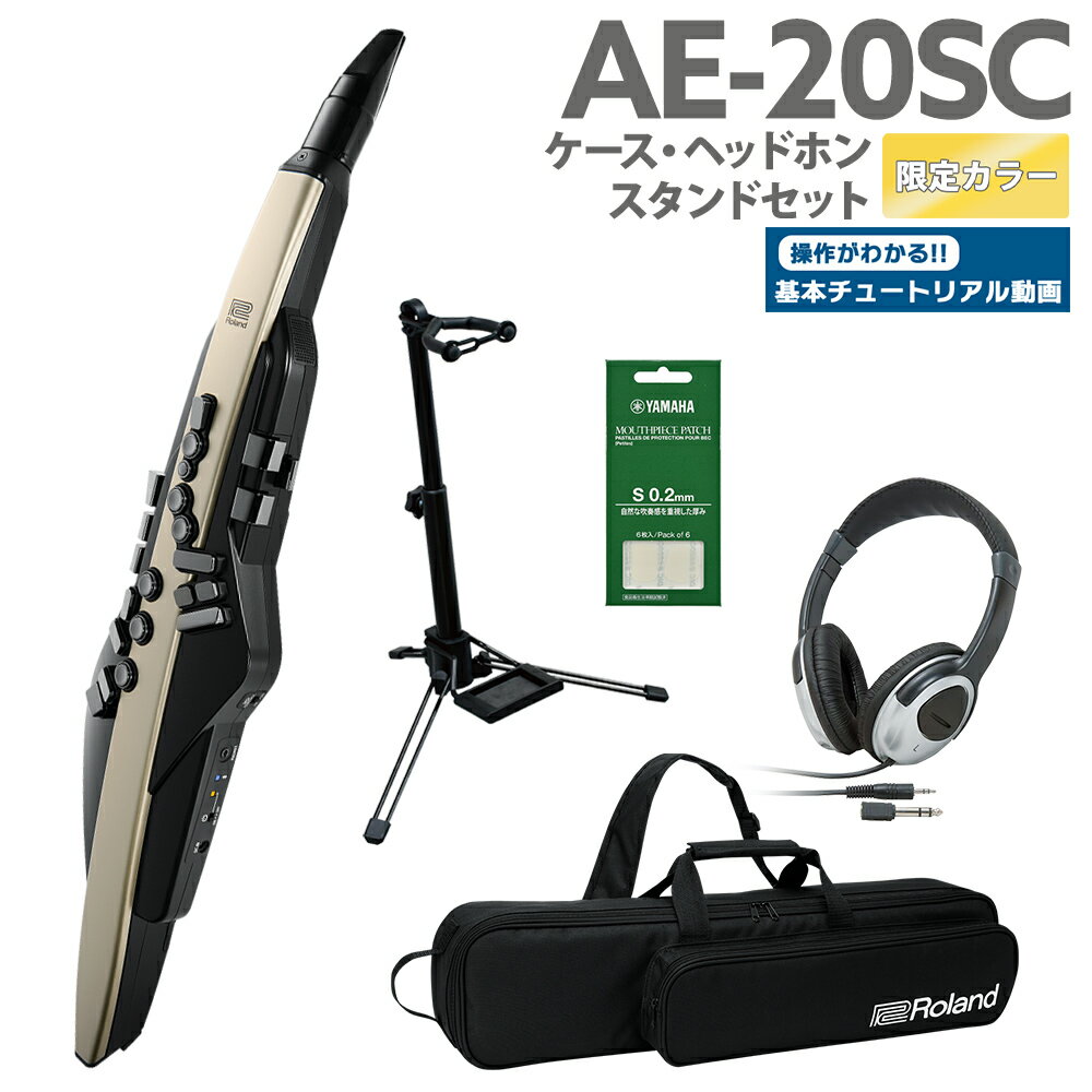 [教則動画付き] Roland AE-20SC ケース ヘッドホン 専用スタンドセット 島村楽器限定ゴールドカラー 32種追加音源 エ…