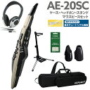 教則動画付き Roland AE-20SC ケース ヘッドホン 専用スタンド 交換用マウスピースセット 島村楽器限定ゴールドカラー 32種追加音源 エアロフォン ウインドシンセサイザー ローランド