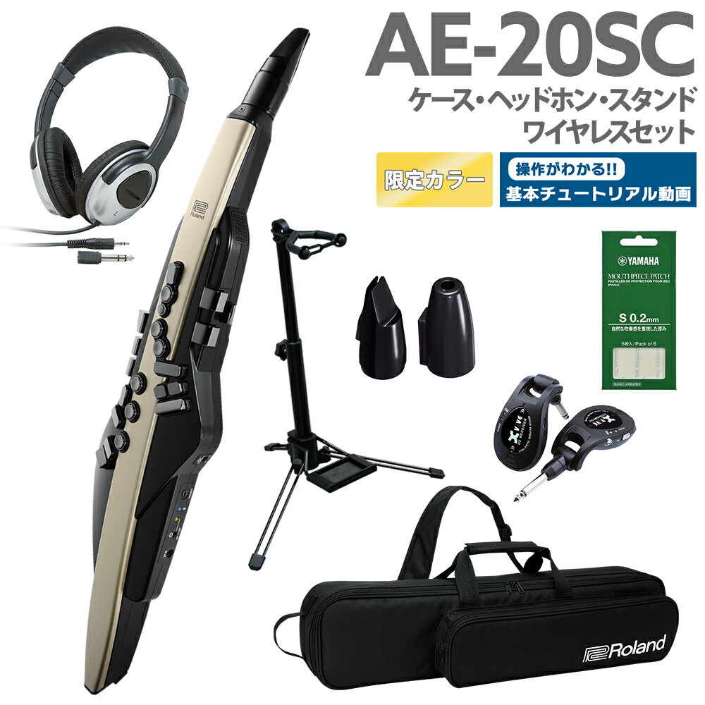 [教則動画付き] Roland AE-20SC ケース ヘッドホン 専用スタンド ワイヤレス 交換用マウスピースセット 島村楽器限定…