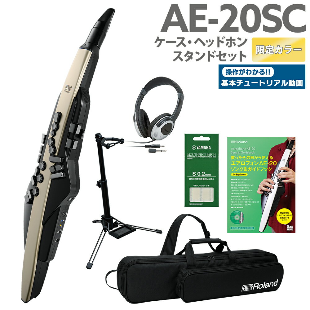 [教則動画付き] Roland AE-20SC ケース ヘッドホン 専用スタンド ガイドブックセット 島村楽器限定ゴールドカラー 32種追加音源 エアロフォン ウインドシンセサイザー ローランド