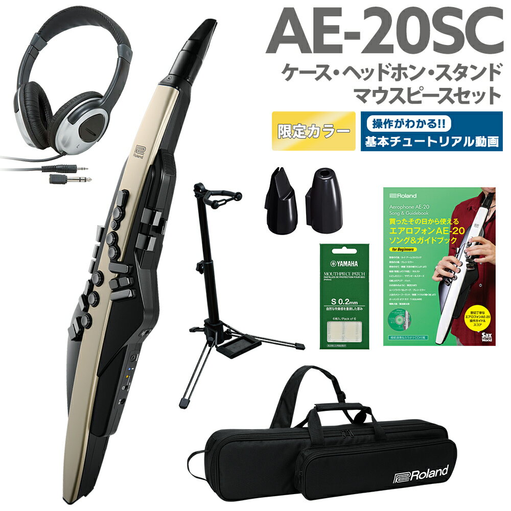 [教則動画付き] Roland AE-20SC ケース ヘッドホン 専用スタンド 交換用マウスピース ガイドブック セット 島村楽器…