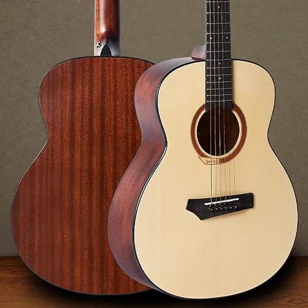 Gopher Wood Guitars i110S アコースティックギター スモールボディ GSミニサイズ ゴフェルウッドギターズ