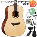 Gopher Wood Guitars i100 アコースティックギター初心者12点セット ドレッドノート ゴフェルウッドギターズ