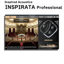 [ʌ] Inspired Acoustics Inspirata Professional Edition CXpCA[hAR[Xe