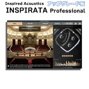Inspired Acoustics Professional Edition アップグレード版 from Lite Edition インスパイアードアコーステ...