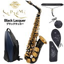 H.Selmer Supreme AS アルトサックス ブラックラッカー セルマー シュプレーム【受注生産】