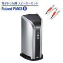 Roland 電子ドラム用 スピーカーセット PM03 B 【繋いですぐに音が出せる】 ローランド スピーカー&ケーブルセット dssp_typeB