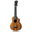 aNueNue US3K ץΥ 4A Koa Bird Ukulele ̥̥ aNN-US3K