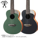 aNueNue UT10 テナーウクレレ アヌエヌエ aNN-UT10