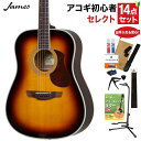 James J-300D BBT アコースティックギター 教本・お手入れ用品付きセレクト14点セット 初心者セット ジェームス