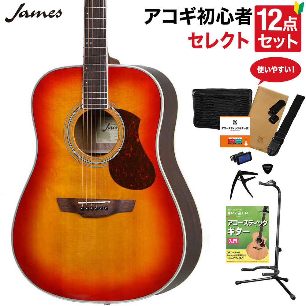 James J-300D CAO アコースティックギター 教本付きセレクト12点セット 初心者セット ジェームス