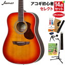 James J-300D CAO アコースティックギター 教本・お手入れ用品付きセレクト15点セット 初心者セット ジェームス