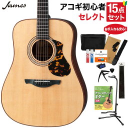 James J-900/L NAT アコースティックギター 教本・お手入れ用品付きセレクト15点セット 初心者セット エレアコ オール単板 ジェームス