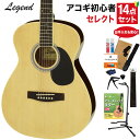 LEGEND FG-15 N アコースティックギター 教本 お手入れ用品付きセレクト15点セット 初心者セット OOOサイズ レジェンド