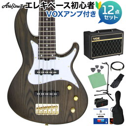 AriaProII RSB-42AR/5 SBK 5弦ベース初心者12点セット 【VOXアンプ付】 アリアプロ2