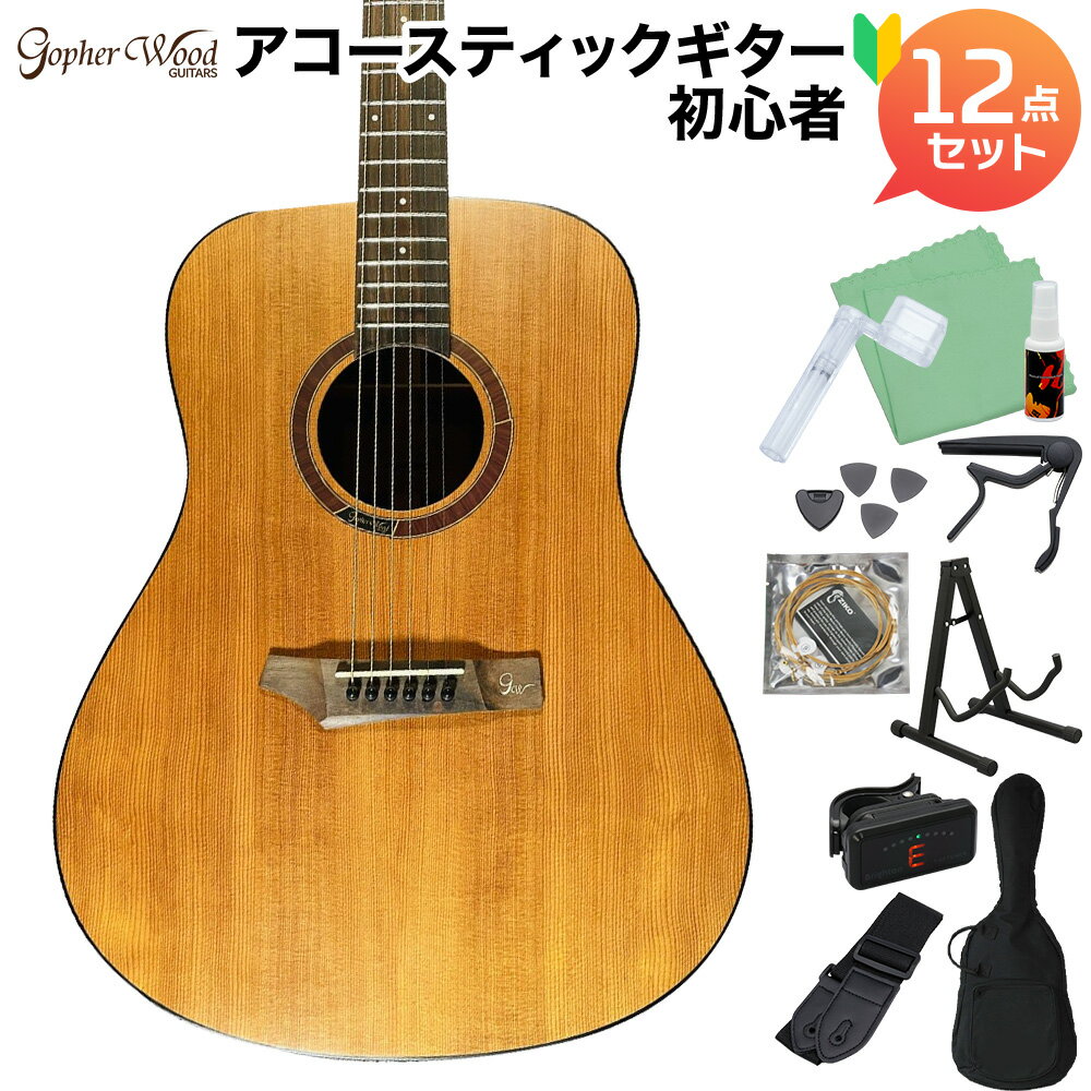 Gopher Wood Guitars i200R アコースティックギター初心者12点セット ローステッドスプルース単板 ドレッドノート ゴフェルウッドギターズ