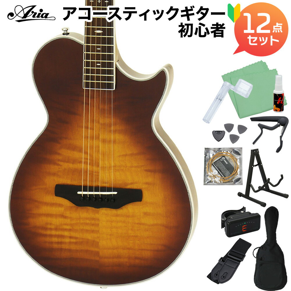 ARIA APE-100 TS アコースティックギター初心者12点セット タバコサンバースト アリア