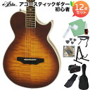 ARIA APE-100 TS アコースティックギター初心者12点セット 【エレキギターのように弾ける薄型エレアコ】タバコサンバースト アリア