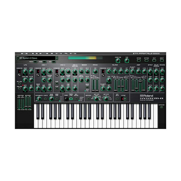 Roland Cloud System-8 Roland Cloud用 買い切り版 シリアルコード Lifetime Keys ローランド [メール納品 代引き不可]