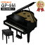 Roland GP-9M PES Żҥԥ 88  ɶ̱Фž夲ӤѤꡦʧԲġ