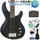 AriaProII IGB-STD MBK ベース初心者12点セット 【充電式ミニアンプ付】 PJタイプ アリアプロ2 【初心者セット】